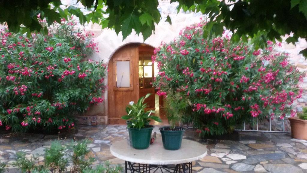 Kuko Hotel - Adults Only Oronoz-Mugaire Extérieur photo