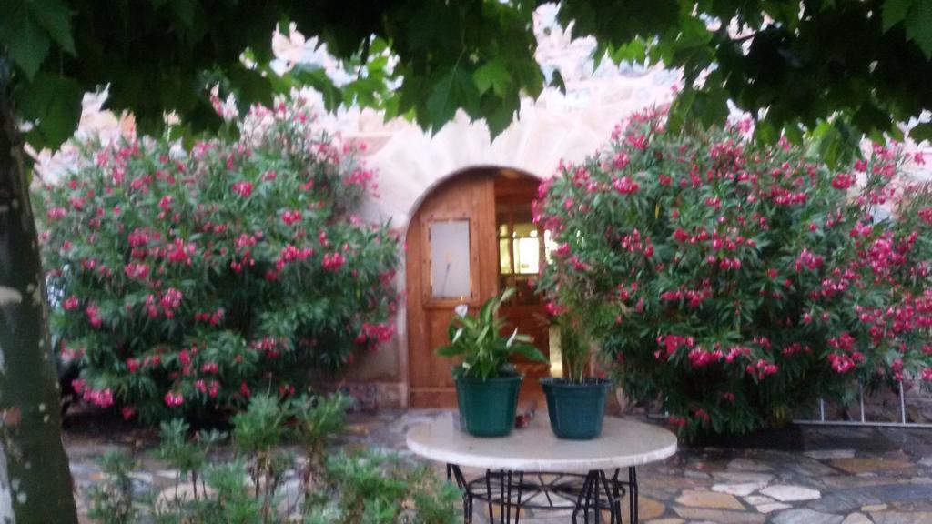 Kuko Hotel - Adults Only Oronoz-Mugaire Extérieur photo